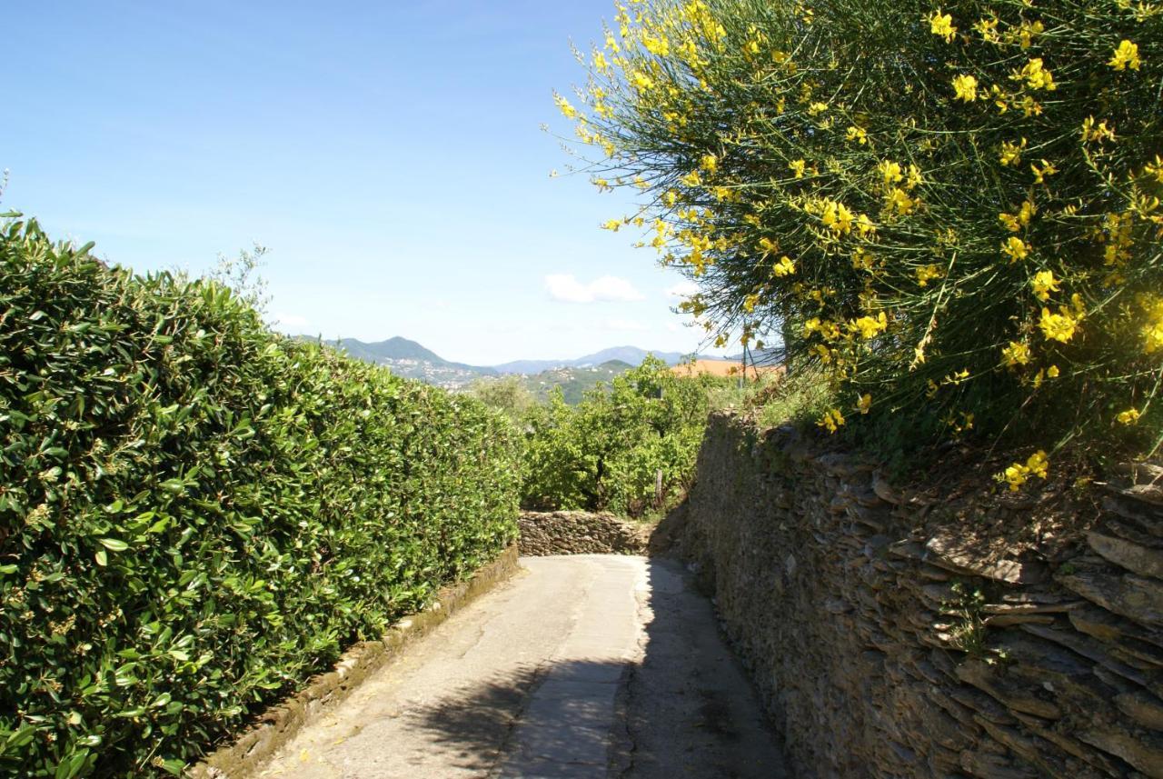 Sarina House Ocean View Villa Lavagna Exterior photo